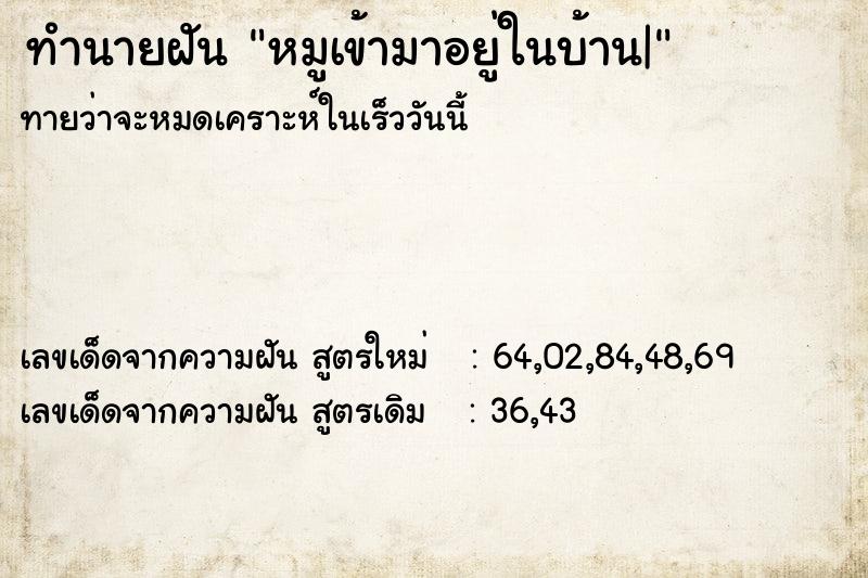 ทำนายฝันทำนายฝันหมูเข้ามาอยู่ในบ้าน|